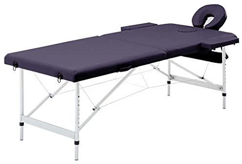 Rainery Table de Massage Pliable 2 Zones Aluminium Violet Lit de Massage pour Cosmétique, Physiothérapie et Tatouage Professionnelle Portable