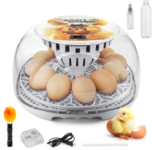 12 Eier Brutautomat Vollautomatisch – Inkubator mit Automatischer Wendefunktion, Temperaturanzeige, 360° Klarsichtfenster & Ei-Candler für Hühner, Enten & Wachteln Egg