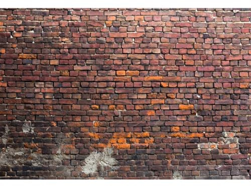YongFoto 4,5x3m Vinyl Foto Hintergrund Ziegel Alt Dreckig Backstein Mauer Verwittert Fotografie Hintergrund für Fotoshooting Portraitfotos Fotografen Kinder Fotostudio Requisiten