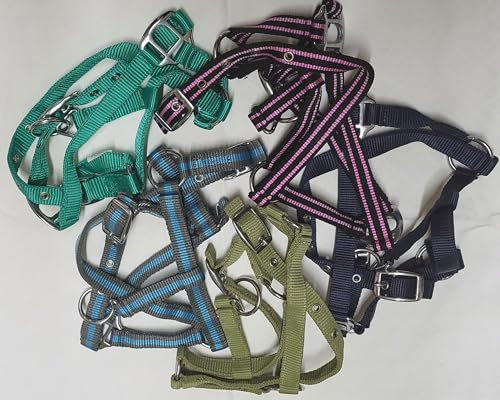 Brama West Halfter Fohlen Pferd Nylonhalfter Verstellbar Einfach- Gr. Fohlen 4 (3)