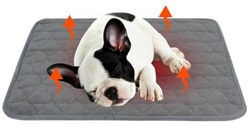 Lollanda Self Heating Pet Pad - Warming Dog Bed & Blanket for Dogs, Cats, Rabbits & Guinea Pigs (60cm*45cm)