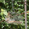 Large House Shaped Garden hanging Bird Feeder Seed Nut Mealworm Clear Perspex
