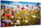 DARO Design - Wand-Bild auf 6mm HDF 70x50 cm Blumenwiese bunt Nahaufnahme - Wand-Deko Bilder Geschenk