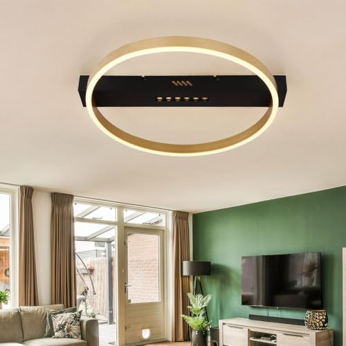 Ceiling Light LED Living Room Lamp Gold Colour Step Switch 24 W