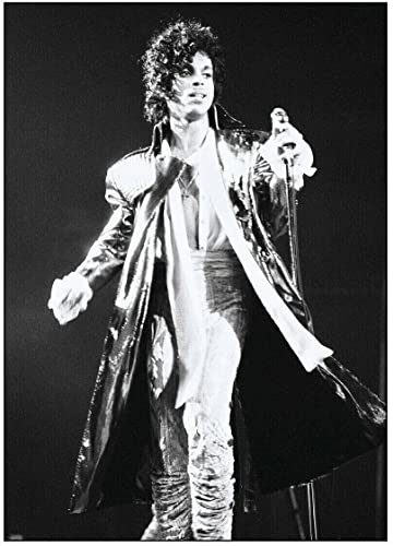 Prince Poster Joe Louis Arena Chicago NEU ca60x85cm