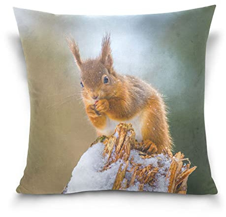 YOUJUNER Kissenbezug Leinen Dekorative Kissenhülle, Eichhörnchen Wurfkissenbezug Zierkissenbezüge Sofa Kissenbezug 45x45cm