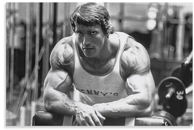Inspirierende Fitness-Zitate Arnold Schwarzenegger Poster (6) Wandkunst Bild Gemälde Poster Leinwand Druck Poster Kunstwerke Raumdekoration 20 x 30 cm