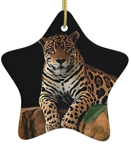 Afrikanischer Leopard auf Felsdruck, personalisierte Weihnachtskugel, Keramik-Sternform, Weihnachtsdekoration, Weihnachtsbaumschmuck für Freund, Freundin, Ehefrau, Weihnachtsgeschenke