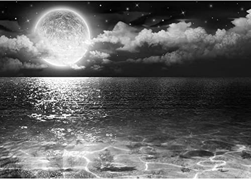 Runa Art Photo Wallpaper Full Moon See 352 x 250 cm Non-Woven Wall Art XXL Moderne Living Room Bedroom Black-and-White 9489011c