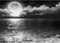 Runa Art Fototapete Vollmond See 352 x 250 cm Vlies Tapeten XXL Moderne Wandtapete Wohnzimmer Schlafzimmer Schwarz Weiss 9489011c