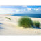 murando Photo Wallpaper Sea and Beach 350x256 cm / 137.8 x 96.5 Non-Woven Premium Art Print Fleece Wall Mural Decoration Poster Picture Design Modern - Grass Green Sand Landscape c-B-0265-a-a