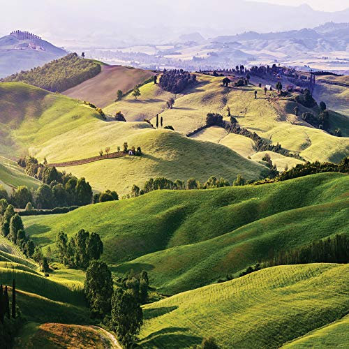 Forwall Fototapete Vliestapete Toskana Natur Gebirge Wald Landschaft Wohnzimmer Büro Latexdruck UV-Beständig Hohe Auflösung VEXXXXL (416cm x 290cm.)