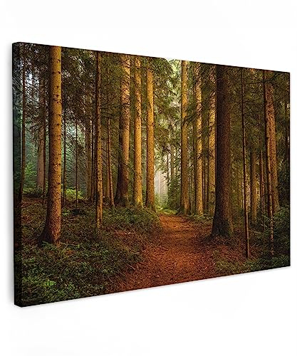 MuchoWow© Leinwand Groß 120x80 cm XXL Deko Schlafzimmer Aesthetic Leinwandbilder Wohnzimmer Gemälde Foto Geschenk Living Room Decoration Wald - Bilder Natur - Bäume - Landschaft - Blätter