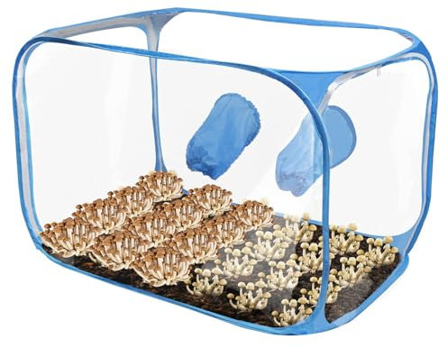 Generico in crescita dei funghi, per coltivazione di funghi - Contenitori per coltivare funghi - Serra ventilata per impianto aria trasparente.