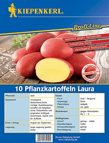 Pflanzkartoffel Laura - mit tiefgelbem Fruchtfleisch - mittelfrüh reifend - vorwiegend festkochend und leicht mehlig, mit sehr gutem Geschmack - Packung mit 10 Stück ca. 850 g
