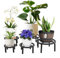 DHYGOTFUR Pflanzenständer Blumenständer Draußen& Innen Aluminium, Blumenbank Pflanzen Blumenregal für Garten, Wohnzimmer, Balkon, Terrasse, Hof, Zimmerecke (Schwarz)