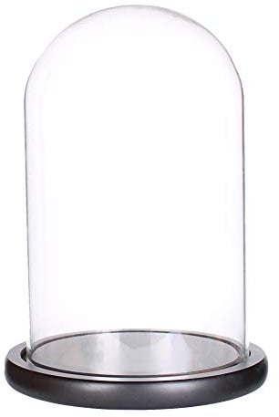 LegendTech Cloche dôme en verre avec base en bois noir (15 x 30 cm)