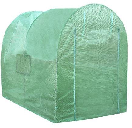Monster Shop - Serra da Giardino a Tunnel da Esterno in Polietilene Resistente alla Corrosione e Raggi UV Telaio in Ferro Galvanizzato per Piante Giardinaggio Telaio 19mm - 2.5m x 2m
