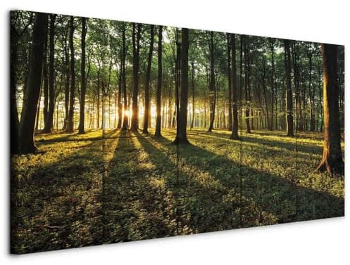 murando - Akustikbild Akustikbild Wald, Schallschutz, Wohnzimmer, Büro | Verbessert Raumakustik, reduziert Hall, ideal fürs Büro oder Wohnzimmer, hochwertige Verarbeitung, schnelle Montage, stilvoll