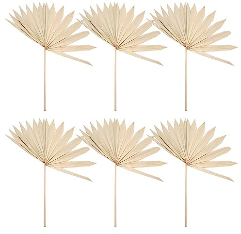 Qusedwey 6 StüCk GroßE Getrocknete Palm BläTter NatüRliche Getrocknete Palm FäCher Getrocknete Blumenstrauß Hochzeit Dekore Getrocknete FäCherpalmen BläTter