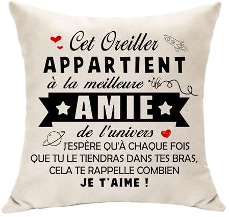Hasodeo Meilleure Amie Cadeau Original Housse de Coussin Décoration | Le Meilleure Amie de l'univers Meilleur Amie Cadeau pour Femme Fille Anniversaire Journée de l'Amitié Coussin Décoratif