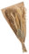 FloristryWarehouse Natural Dried Grass Bouquet With Palm Spear 50cm/20 Inches