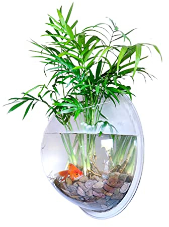 ZXCFTG Terrario de cristal para colgar en la pared, maceta colgante de vidrio para propagar plantas hidropónicas, hogar, oficina, jardín, decoración de boda, blanco, 21,5 x 21,5 x 12 cm