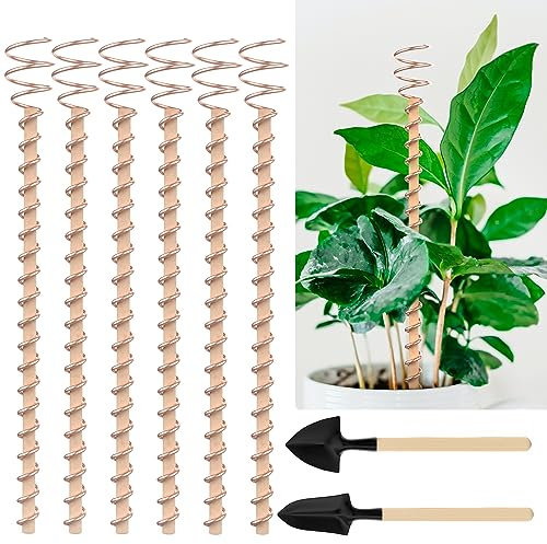 Electroculture Plant Stakes, 6 Pack 11.5 Long Copper Garden Stakes, Electroculture Gardening Copper Coil Antennas for Growing Garden, Indoor Plants and Vegetables, Copper Pyramid Tensor Rings Kit
