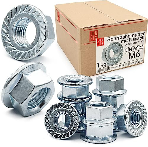 Lun Fix Dado di bloccaggio M6 DIN 6923, 1 kg, circa 315 pezzi, dado flangiato FK5, dado esagonale con flangia e dentatura di blocco, acciaio zincato, dadi per bulloni filettati, dado per barre