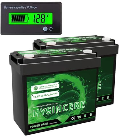 HYSINCERE 2Pack 12V 50Ah LiFePO4-Lithiumbatterie, 50A BMS Deep Cycle wiederaufladbare Lithiumbatterie mit bis zu 4000 Zyklen für Wohnmobil, Solar, Trolling-Motor, Energiespeicher