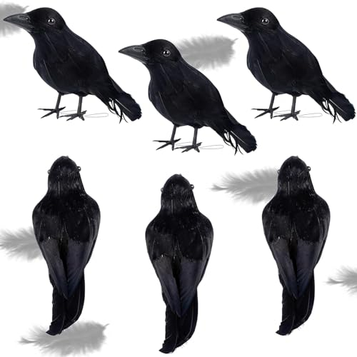 Sadodo 6 Stück Halloween Krähen Künstliche Gefiederte Krähen Realistische Rabe Raben Vögel Dekoration Schwarze Feder Krähe Vogel für Halloween Party Crow Requisiten Innen Außen Haus Garten Deko