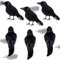 Sadodo 6 Stück Halloween Krähen Künstliche Gefiederte Krähen Realistische Rabe Raben Vögel Dekoration Schwarze Feder Krähe Vogel für Halloween Party Crow Requisiten Innen Außen Haus Garten Deko