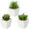 Briful Kunstpflanze Künstliche Sukkulente Pflanze Zimmerpflanze Decorative Wohnzimmer,Badezimmer Dekopflanze Sukkulente, Höhe 10-14cm, im Keramiktopf, 3er Set