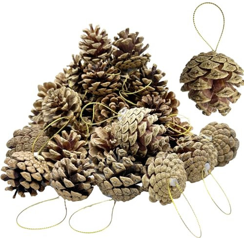 24 Pcs Christmas Natural Pine Cones, Rustic Pinecones Bulk Ornaments with String for Crafting for Home Accent Decor, Fall Thanksgiving Tree Decoration (4-6cm)