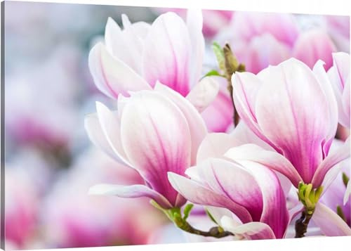 HUBDECO Leinwand Bilder Wohnzimmer - Bilder, Poster, Kunstdrucke - Leinwandbild - Bild auf Leinwand - Tolle Zimmerdekoration - Schlafzimmer Bilder - 120x80 cm - Magnolie