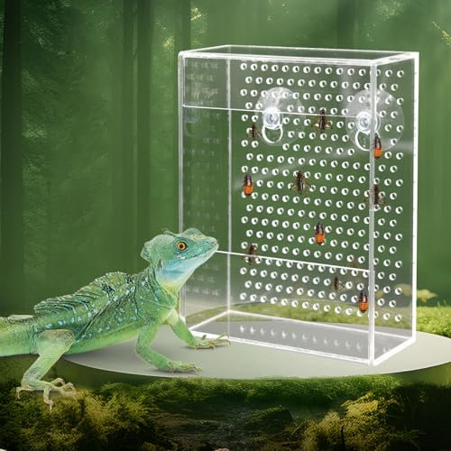 Futterstation für Bartagamen, Chameleon Insekten-Schale, Transparente Acryl-Reptilien-Futterbox, Wandmontiertes Insektenfutter mit Saugknöpfen, Zubehör für Terrarium Aquarium Echse Bartagame Gecko