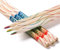 ThEast 10 Piece Rainbow Coloured Pencils, 4 in 1 Colouring Pencils for Kids, Multi Coloured Pencils for Adults Colouring, Drawing, Pre-sharpened, Pencils for Party Bags