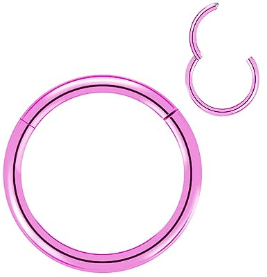 Artskin Anneaux de nez en titane Anneaux de piercing pour le corps Boucles d'oreilles Helix Cartilage Rook 20G 18G 16G, Diamètre 6mm-10mm Noir/Argent/Or/Rose Gold