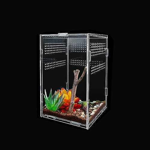 Insect Feeding Box, 25X15X15cm,Acryl-Reptilien-Beobachtungsbox, Transparente Vollständige Ansicht Reptilien Insekten Futterbox für Spinnen, Eidechse, Frosch