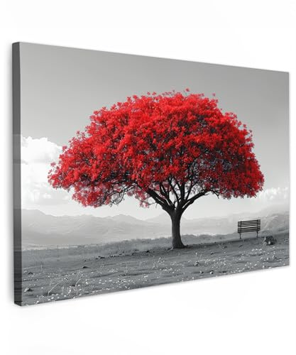 MuchoWow© Leinwand Bilder Wanddeko Wohnzimmer Aesthetic Room Decor Deko | 60x40 cm - Zimmer Wandbilder Modern Bild auf Baum - Rot - Natur - Schwarz und Weiß