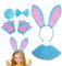 Lueear -Party-Kostüm, buntes Osterhasen-Outfit, niedliches -Cosplay-Set, Partyzubehör für Halloween, Geburtstag, Weihnachten