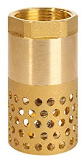 ROOwarMer Rückschlagventil mit saugkorb 1/2 3/4 1 1-1/4 1-1/2 2 2-1/2 3 zoll - fußventil mit saugkorb für Saugschlauch schwengelpumpe gartenpumpe (1-1/4 zoll)