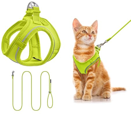 Hundegeschirr mit Leine 255cm XS Set, Reflektierend (Limettengrün) | Brustgeschirr Für Kleine Hunde & Katzen, Atmungsaktives Mesh, Anti-Ausbruch, Weich, Spaziergang