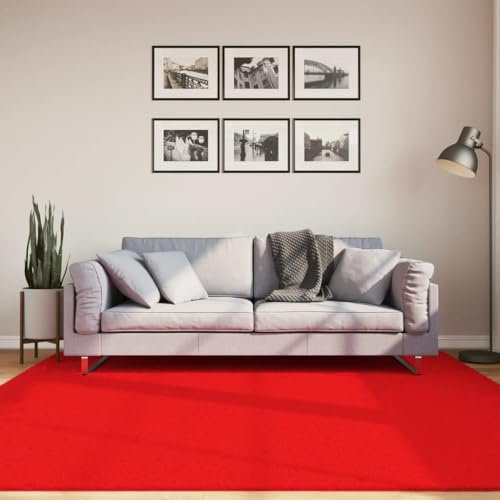 AUUIJKJF Home Items, Teppich OVIEDO Kurzflor Rot 200x200 cm, Anzugmöbel