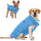 SPACE LION Essential Hundejacke mit Entendaunen, warm, bequem, leicht, wasserabweisend, lässiger Wintermantel für Haustiere (Blau, Größe L)