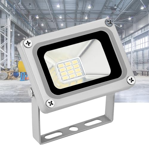 IINCOOY Faretto LED da 10 W, Luce Bianca Fredda 6500 K, Luce di Sicurezza 12-24 V CC, Faretto da Parete LED da Esterno Super Luminoso, 800 Lm, for Giardino, Cortile, Prato