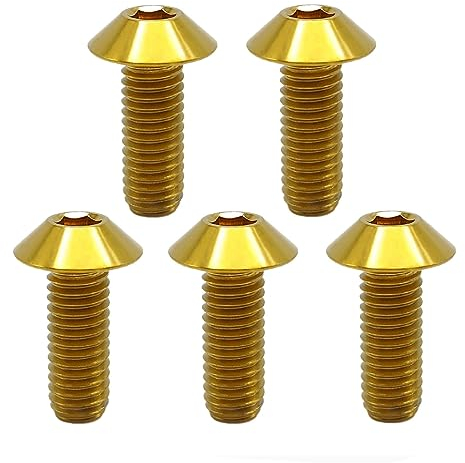 RISON Titanium Bolzen M6x1.0x25mm Titan Kuppelkopf Kopfbolzen Innensechskant Bolzen golden Titanschrauben Sockel Kopf Schraube für Fahrrad Motorrad 5 Stück