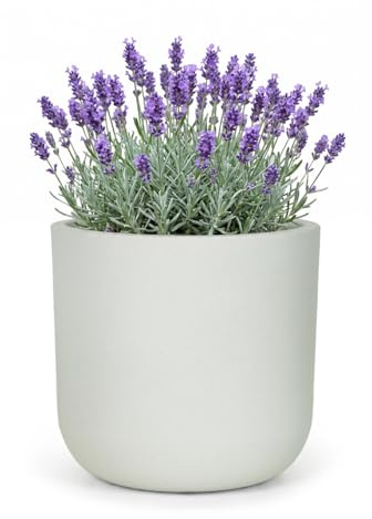 Mazovia Intérieur et Extérieur Pot de Fleurs Terrasse Ø44cm Rond Blanc Écru | Intérieur et Extérieur Pot de Fleurs pour Salon Salle à Manger Uni Résistant aux Intempéries Éco Recyclé Robuste Minimaliste