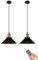 Industrial Pendant Lights Battery Operated with Remote Set of 2,Indoor Non Hardwired Hanging Lights Fixtures,Black Vintage Pendant Lighting Lamp for Farmhouse Kitchen Island Bedroom Bar (Color : Blac
