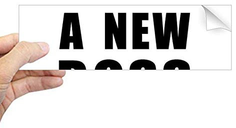 Rechteckiger Stoßstangen-Aufkleber mit Aufschrift I Want A New Boss